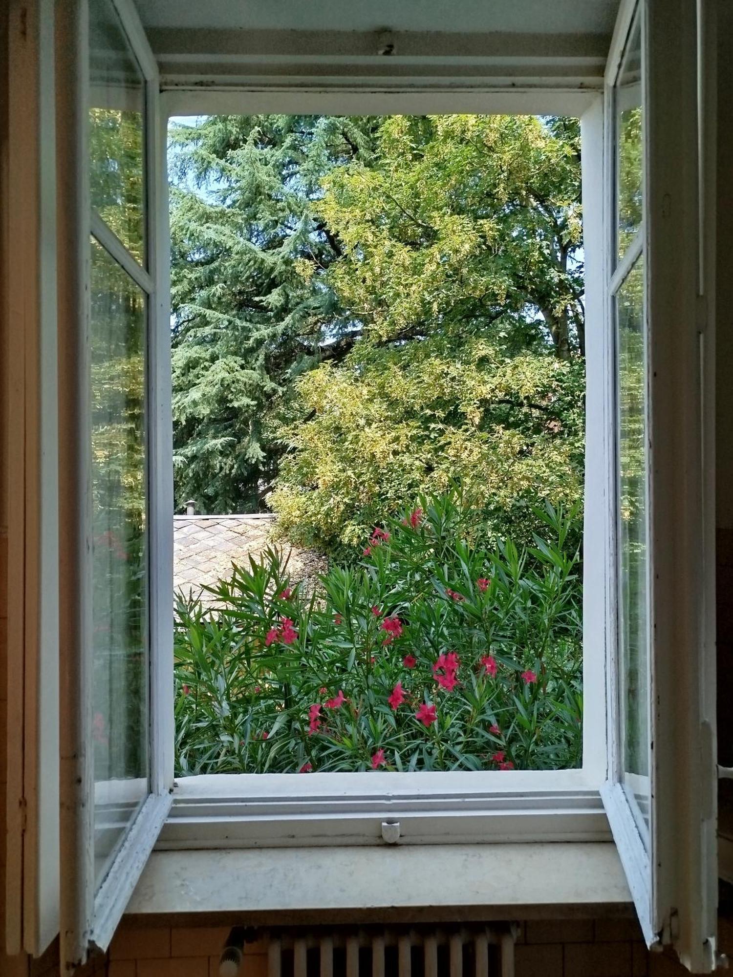Del Nobile Apartment Turin Bagian luar foto