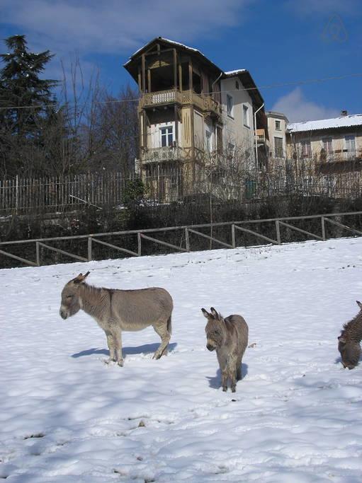 Del Nobile Apartment Turin Bagian luar foto